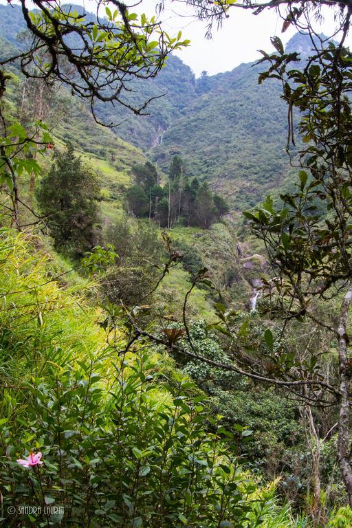 Finca Chamanapamba Guest House Baños Екстериор снимка